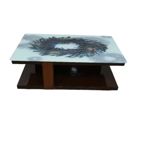 Glass Center Table